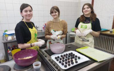 DONACIJA ZA MARIJINE OBROKE